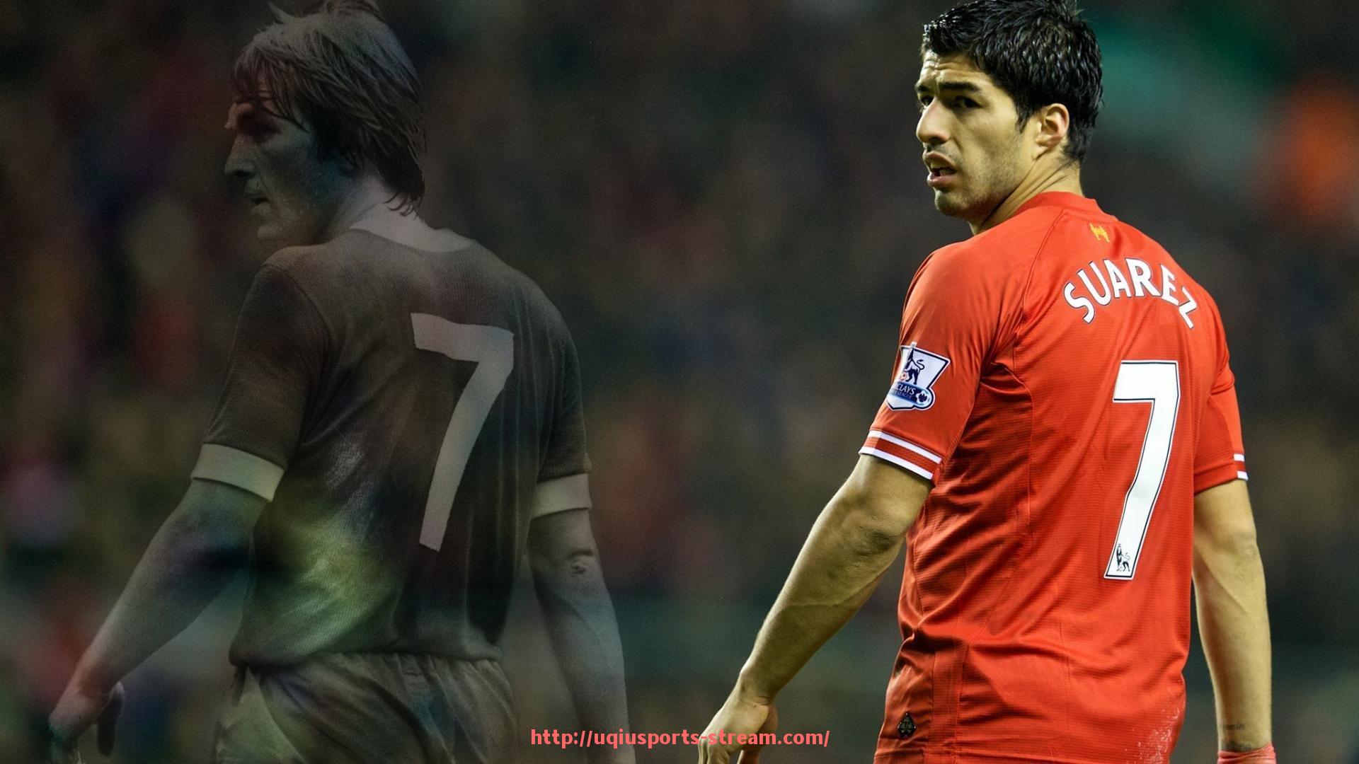 U球体育直播-国外酒店配备的综合健身器材配置与功能解析